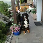 Rieder * Leogang